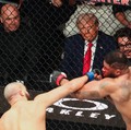 Potret Trump Pilih Nonton UFC di Tengah Negosiasi Perang AS-Iran
