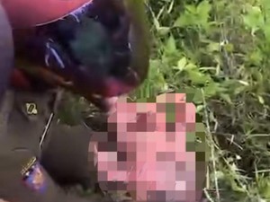 Heboh Bayi Perempuan Ditemukan di Semak Belukar Jalan Poros Empat Lawang