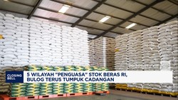 Video: 5 Wilayah "Penguasa" Stok Beras RI, Bulog Terus Tumpuk Cadangan