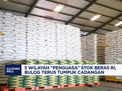 Video: 5 Wilayah "Penguasa" Stok Beras RI, Bulog Terus Tumpuk Cadangan