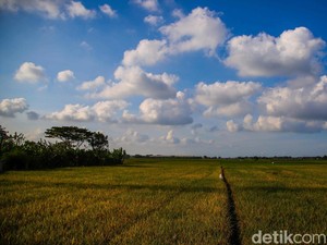 Prakiraan Cuaca Jawa Timur 5 Mei 2026, 5 Wilayah Capai Suhu 33 Derajat