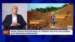 Video: Cuan Tambang Nikel: Tak Impor Bijih Nikel & Pasok Smelter Lokal
