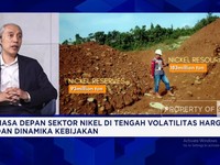 Video: Cuan Tambang Nikel: Tak Impor Bijih Nikel & Pasok Smelter Lokal