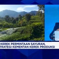 Video: Sayuran Untuk MBG, Petani Milenial - Smart Farming Dikerahkan