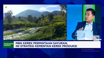 Video: Sayuran Untuk MBG, Petani Milenial - Smart Farming Dikerahkan