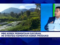 Video: Sayuran Untuk MBG, Petani Milenial - Smart Farming Dikerahkan