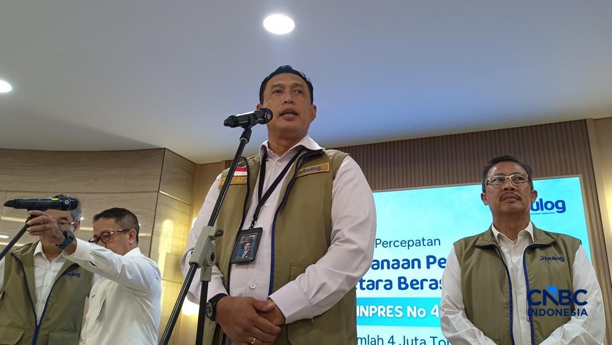 Bos Bulog Akui Minyakita Langka, Minta Tambahan Kuota DMO