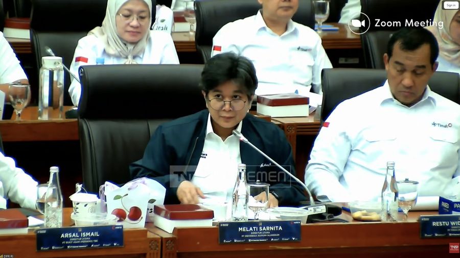 Direktur Utama PT Indonesia Asahan Aluminium (Inalum), Melati Sarnita saat mengikuti Rapat Dengar Pendapat (RDP) dengan Komisi XII DPR RI di Komplek Parlemen, Jakarta, Senin (13/4/2026). (Tangkapan Layar Youtube/TVR Parlemen(