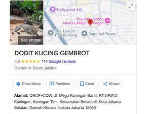 Viral Titik Dodit Kucing Gembrot di Google Maps, Ini Alamat Persisnya