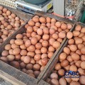 5 Makanan Ini Tidak Boleh Dikonsumsi Bareng Telur, Dampaknya Bahaya