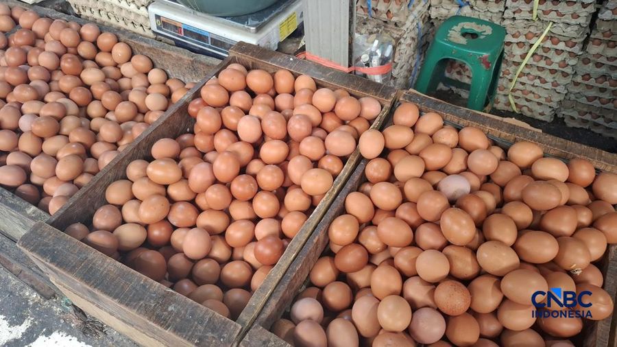 Harga beberapa sembako di Pasar Minggu, Jakarta Selatan terpantau cenderung normal pada Senin (13/4/2026). (CNBC Indonesia/Chandra Dwi Pranata )