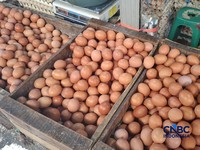 5 Makanan Ini Tidak Boleh Dikonsumsi Bareng Telur, Dampaknya Bahaya