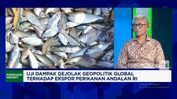 Video: Harga Plastik-Ongkos Angkut Naik, Ekspor Tuna Kena Efek Perang