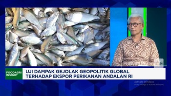 Video: Harga Plastik-Ongkos Angkut Naik, Ekspor Tuna Kena Efek Perang