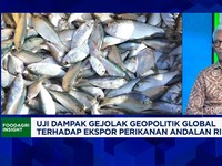 Video: Harga Plastik-Ongkos Angkut Naik, Ekspor Tuna Kena Efek Perang
