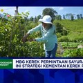 Video: Kementan: Permintaan Naik, MBG Bikin Petani  Senang Tanam Sayur