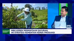 Video: Kementan: Permintaan Naik, MBG Bikin Petani  Senang Tanam Sayur