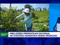 Video: Kementan: Permintaan Naik, MBG Bikin Petani  Senang Tanam Sayur