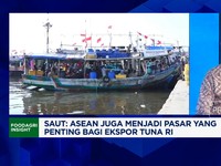 Video: RI Bisa Belajar ke Vietnam Untuk Genjot Daya Saing Ekspor Tuna