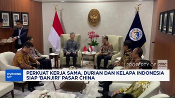 Perkuat Kerja Sama, Durian & Kelapa RI Siap 'Banjiri' Pasar China