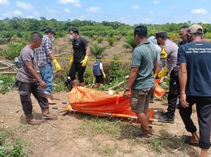 Warga Muaro Jambi Temukan Mayat Pria Membusuk dalam Kanal Rawa
