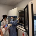 Geger Startup Tak Terkenal Ciptakan Chip Langsung dari Otak Manusia