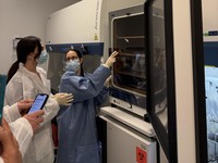 Geger Startup Tak Terkenal Ciptakan Chip Langsung dari Otak Manusia