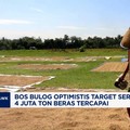 Video: Bos Bulog Optimistis Target Serapan 4 Juta Ton Beras Tercapai