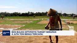 Video: Bos Bulog Optimistis Target Serapan 4 Juta Ton Beras Tercapai