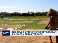 Video: Bos Bulog Optimistis Target Serapan 4 Juta Ton Beras Tercapai