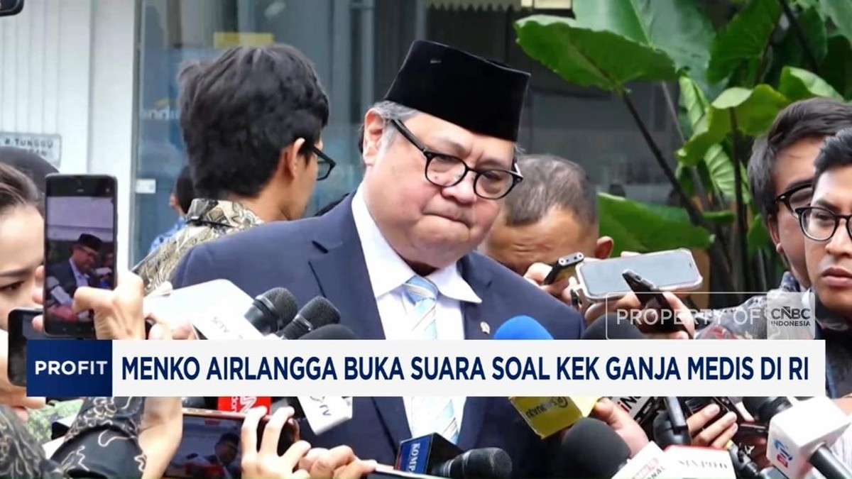 Video: Menko Airlangga Buka Suara Soal KEK Ganja Medis di RI