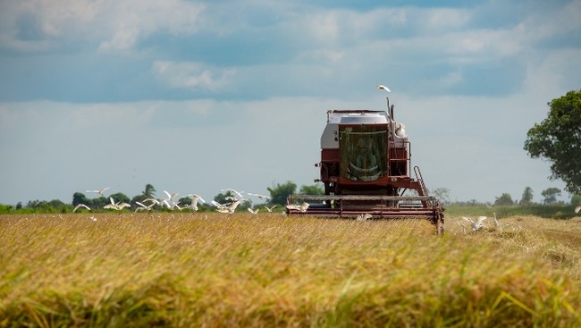 Merdeka Pengan! Negara Ini Tak Butuh Bantuan China- Amerika