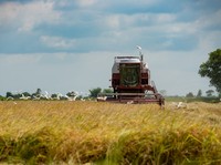 Merdeka Pengan! Negara Ini Tak Butuh Bantuan China- Amerika