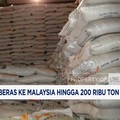 Video: RI Jajaki Ekspor Beras ke Malaysia hingga 200 Ribu Ton