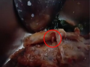 Ada Ulat di Ayam dan Saus Menu MBG SDN 003 Lampa Polman