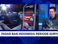 Video: Ban Asal China Bangun Pabrik di RI, Incar Produksi 7 Juta Ton