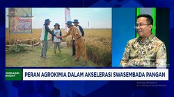 Video: Efek Perang, Biaya Impor Bahan Baku Pestisida Melonjak Tajam