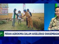 Video: Efek Perang, Biaya Impor Bahan Baku Pestisida Melonjak Tajam