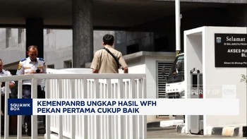 Video: Kemenpan RB Ungkap Hasil WFH ASN: Layanan Publik Tak Terganggu