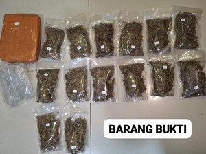 Polda Metro Tangkap Pengedar Narkoba di Depok, Ganja 6,2 Kg Disita