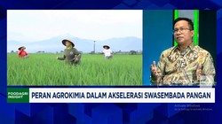 Video: Prabowo Pacu Swasembada Pangan, Permintaan Pestisida Naik 30%