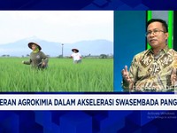 Video: Prabowo Pacu Swasembada Pangan, Permintaan Pestisida Naik 30%