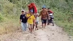 Jalan Rusak Parah, Wanita Sakit di Polman Ditandu 12 Km Menuju Puskesmas