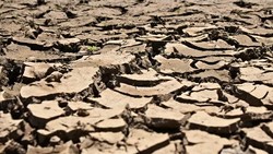 Kilas Balik El Nino 1997: Akankah Kengeriannya Terulang?