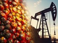 Nafta Langka-CPO Jadi Penyelamat? Ini Kata Amran, Wamenperin-Pengusaha