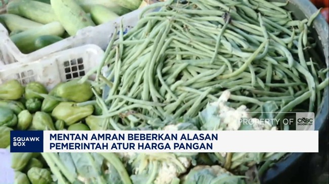 Video: Mentan Amran Beberkan Alasan Pemerintah Atur Harga Pangan