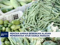 Video: Mentan Amran Beberkan Alasan Pemerintah Atur Harga Pangan