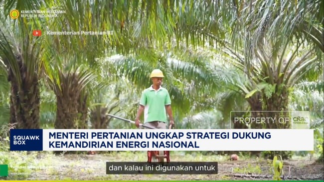 Video: Mentan Amran Ungkap Strategi Dukung Program Biofuel B50