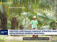 Video: Mentan Amran Ungkap Strategi Dukung Program Biofuel B50