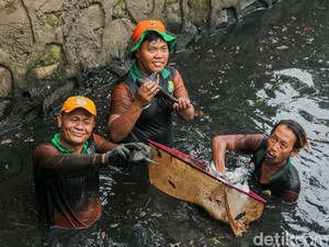6,9 Ton Ikan Sapu-sapu Ditangkap dari 5 Wilayah Jakarta Hari Ini